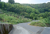 清滝寺への道4